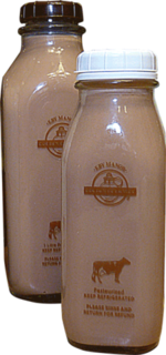 Milk - Chocolate Guernsey 2% - 1L Glass (Eby)